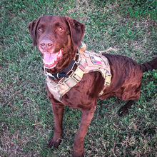 Load image into Gallery viewer, Frank's Blend